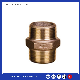 Chinese Suppliers Brass PPR/ CPVC/ UPVC Insert Pipe Fitting