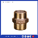 Chinese Suppliers Brass PPR/ CPVC/ UPVC Insert Pipe Fitting