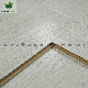  12mm Wood Decoration Materials Bedroom Kitchen Wooden Floor Tiles Elf Oak White Washed Laminated Flooring