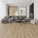 3.5mm~7mm Wood Design Spc Flooring Vinyl Flooring Click Manufacturer Commercial/Residential Plastic Floor manufacturer