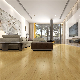  Moisture Resistant Cork Underlayment Typical Warranty Periods Engineered Spc Vinyl Flooring for Building Hall Using