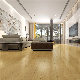 Moisture Resistant Cork Underlayment Typical Warranty Periods Engineered Spc Vinyl Flooring for Building Hall Using