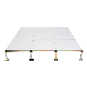 Factory Provided Excellent Antistatic Performance Ceramic Raised Floor Used for Clean Room, Electronic Device Factory