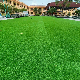 New Product 60mm Artificial Grass Artificial Plant Synthetic Turf Carpets