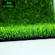 Artificial Grass Turf for Football Tennis Carpet Football Turf