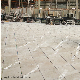 300+ Stone Color Supplier Polished Cut to Size Natural Marble Tile for Floor and Wall Decoration