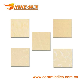  Transparent Charm Polished Floor Tile (P1089)