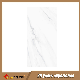 Polished Floor Marble Tile Foshan Supplier with More Than 20 Years Experience (2-6161255)