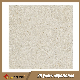 America Style Anti Skid Flooring Tile (HT60002)