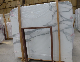  Italian White Natural Stone Calacatta Gold Marble Slabs/Tiles with Greyish/Veins