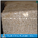  Polished Yellow Granite G682 Flooring/Wall Tiles for Kitchen and Bathroom