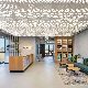 Pop Custom Aluminum LED Lighting Perforated Design Metal Ceiling Panel