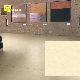 Soluble Salt Tiles Building Material Floor Tile for South America manufacturer