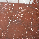 600X600 Clear Texture Red Marble Floor Tile