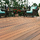 Co-Extrusion WPC Composite Deck Flooring Used for Swimming Pool manufacturer
