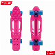 Factory Price OEM ODM 22inch PC Colorful Deck Board Skateboard High Quality Fish Board for Sale Kids Toys Penny Board manufacturer