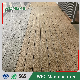 Practical Hot Sale Wood Grain More Design Floor WPC Decking