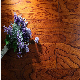  Multi-Layer Engineered Floor /Oak/Ash/Elm/Ipe/Walnut Brushed Oiled Solidwood/Hardwood