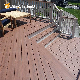 Eco-Friendly Recycled Synthetic Teak Decking Co-Extrusion WPC Decking