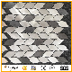  Special New Design Marble Glass Mosaic for Wall&Floor Decoration