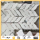 Natural Travertine Marble Mosaic Pattern for Home/Hotel Floor