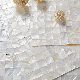 Natural Shell Mosaic, Mother of Pearl Mosaic Tile manufacturer