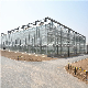  Floated/Tempered 4mm/5mm Glass Greenhouse Projects/Item in China/Over The World