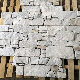  SMC-Cc232 China Natural White Marble Cement Back Stone Veneer