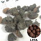 Leca Lightweight Expanded Clay Aggregate for Building Blocks