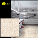  Unglazed Porcelain Floor Tile for Export