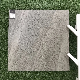 Wear-Resistant Building Material Porcelain Flooring Rustic Tiles (SHA604)