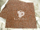 Impala Red Granite Tile with Calibrated on Thickness manufacturer