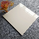 Building Material Modern Design 600X600 Porcelain Floor Tiles manufacturer