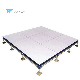 Anti Static Calcium Sulphate Raised Floor for Data Center Elevated Floor