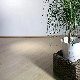 Indoor Horizontal Tongue and Groove Solid Bamboo Flooring manufacturer