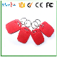 RFID Keyfob/RFID Tag Tk4100/Em4100 for Access Control