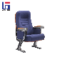 Cinema VIP Direct University Church School Conference Movie Hall Seats Auditorium Lecture Chairs