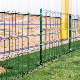  Factory Green Color 3D Folded V Shape Welded Wire Garden Fencing