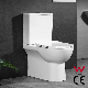 Europe Smart Bathroom Toilet Sanitary Ware Ceramic Floor Mounted Two Piece Wc