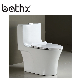 Chaozhou Factory Siphonic Flushing Bathroom Soft Close One Piece Ceramic Eco Toilet (PL-3003)