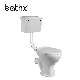 Cheap Factory Price Toilet Products Modern Design Bathroom Products Double Piece Toilet (PL-6001)