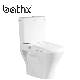 High Cost-Effective Two Piece Washdown Flushing P Trap S Trap Ceramic Bathroom Toilet (PL-6604)