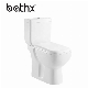 Popular Design Top Brand Toilet Hotel Elongated Chaozhou Manufacturer Gravity Flushing Double Piece Toilet (PL-6615)