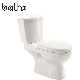 High Quality Washdown Flushing Double Piece Bathroom Ceramic Middle East Toilet (PL-6614)