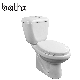 Made in China for Kenya Washdown Flushing Bathroom Soft Close PP Seat Ceramic Fast Selling 100mm Outlet Double Piece Toilet (PL-6823)