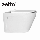 Chaozhou Wc High Quality Wall Hung Bathroom P-Trap Ceramic Toilet (PL-7702)