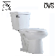 Water Closet Ideal Standard Hot Sell Porcelain Sanitary Ware Two Piece Toilet