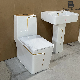 Vietnam Bathroom Toilet White and Gold Toilet Basin Sanitary Ware manufacturer