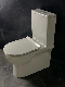  Sairi Sanitary Ware Manufacturer of Fashion Floor Mounted Ceramic Two-Piece Toilet