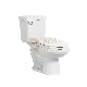 Ceramic Siphonic Two-Piece Toilet for Southeast Asia Market Bathroom Sanitaryware